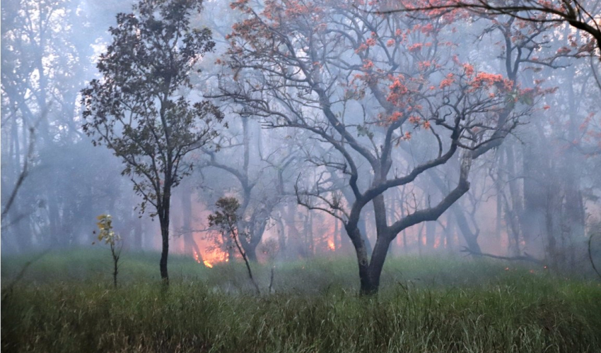 डढेलो लाग्न नदिन उच्च सतर्कता