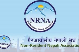 घोडा, भैसी र एनआरएनएको कथा