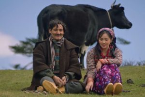 ‘ऊनको स्वीटर’ को ग्रस कलेक्सन कति ?