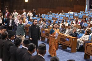 रास्वपा र राप्रपा संसद्‌बाट बाहिरिए