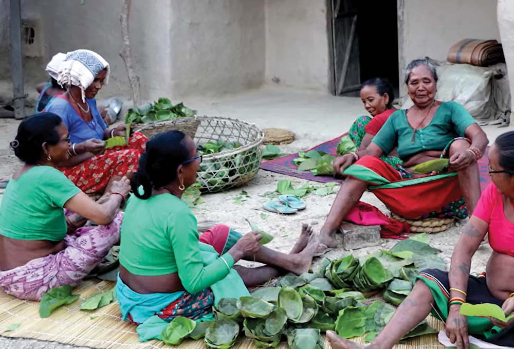 कैलालीका थारू बस्तीमा हर्डहुवाको रौनक
