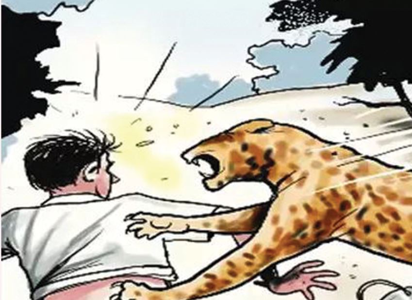 मानव–वन्यजन्तु द्वन्द्व न्यूनीकरणका लागि शुक्लाफाँटामा सेन्सरयुक्त सौर्यबत्ती जडान