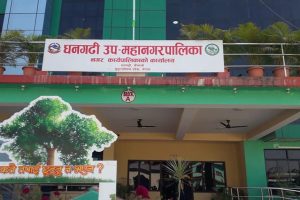 स्थानीय तहमा पुँजीगत बजेट खर्च हुन सकेन