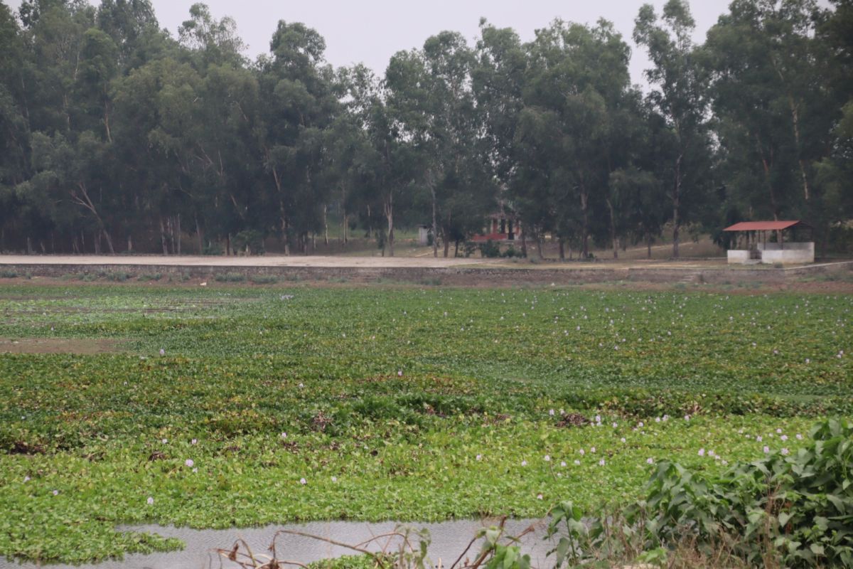 कञ्चनपुरको बन्धातालमा पूर्वाधार निर्माण गरिँदै