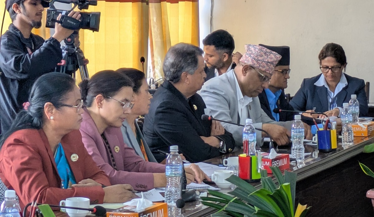 बैंकको नयाँ लाइसेन्स दिनु हुँदैन: विनोद चौधरी