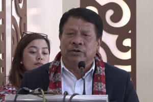 देशमा केही भएन भन्ने भाष्य गलतः उपप्रधानमन्त्री सिंह