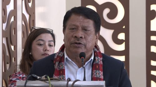 देशमा केही भएन भन्ने भाष्य गलतः उपप्रधानमन्त्री सिंह