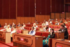 राष्ट्रिय सभाबाट दुई विधेयक पारित
