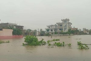 अव्यवस्थित ढल निकासले बर्सेनि डुब्छ धनगढी