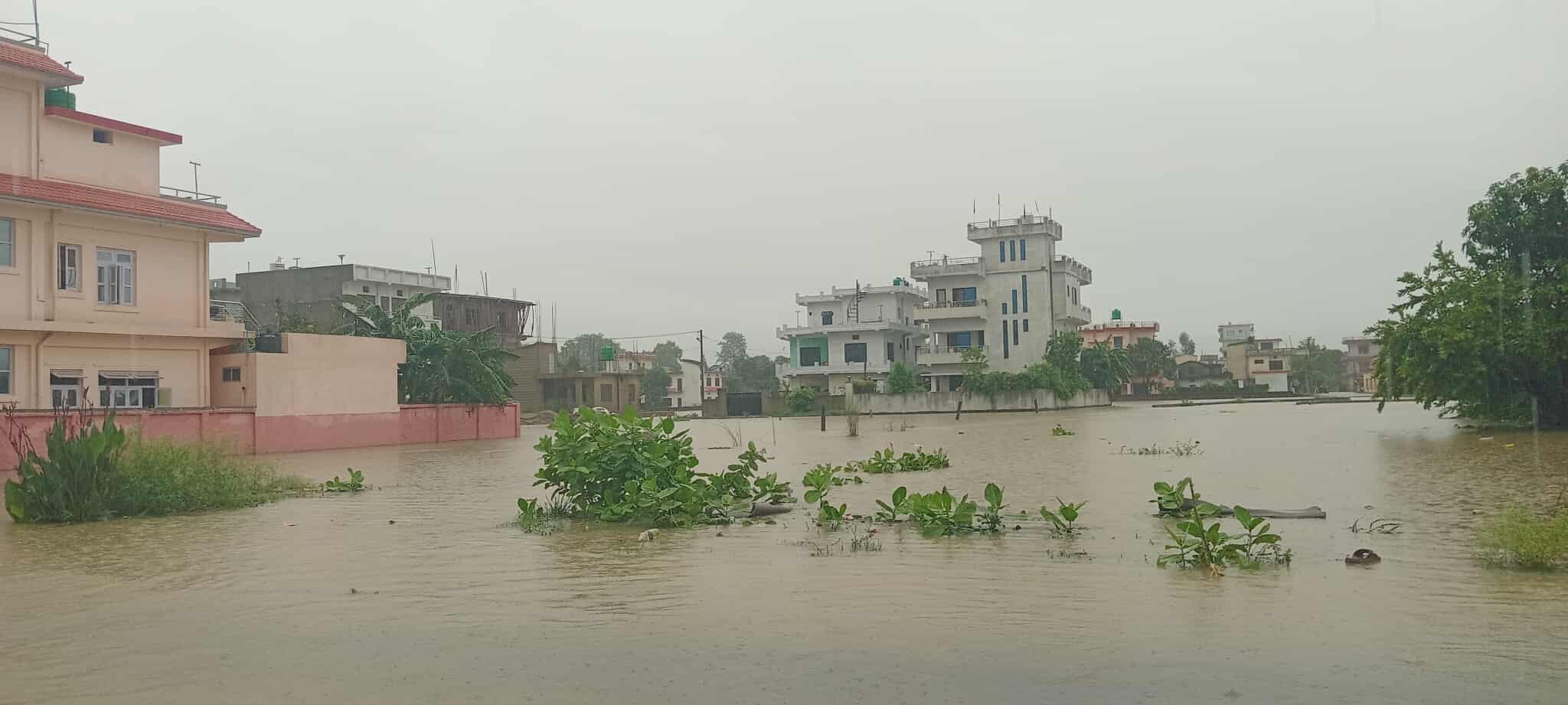 अव्यवस्थित ढल निकासले बर्सेनि डुब्छ धनगढी