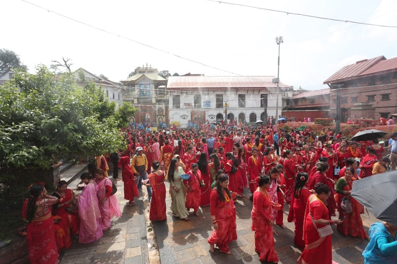 हरितालिका तीज : पशुपतिमा भक्तजनकाे घुइँचाे