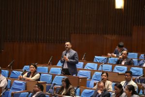 भिजिट भिसा प्रकरण : रास्वपा र राप्रपाद्वारा सदन बहिष्कार