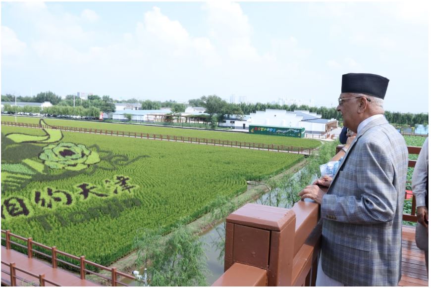 प्रधानमन्त्री ओलीले गरे चीनको धान उत्पादन विशेष क्षेत्रको अवलोकन