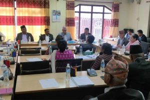 निजामती विधेयकमाथि राष्ट्रियसभाको संसदीय समितिमा छलफल सुरू