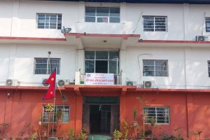तीन सयभन्दा बढी हेक्टरमा सिँचाइ विस्तार