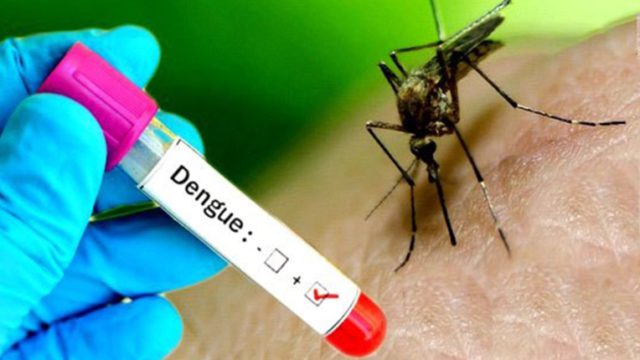 एक सातामा १ सय ८० जनामा डेंगु सङ्क्रमण पुष्टि