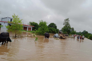 घर डुबान हुँदा कैलालीका वादी समुदाय समस्यामा