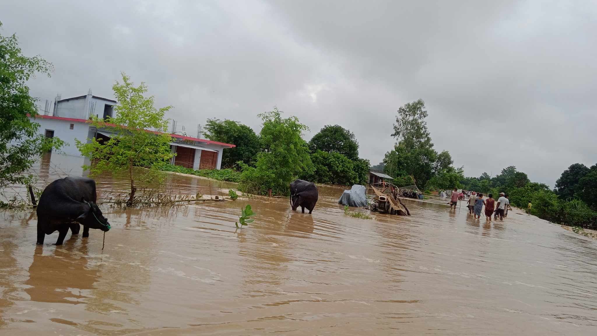 घर डुबान हुँदा कैलालीका वादी समुदाय समस्यामा