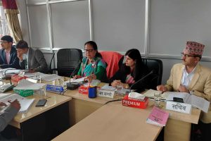कुलिङ पिरियडमा सहमति खोज्न २० मिनेट रोकियो विधायन समिति बैठक