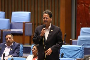 सबैलाई स्वीकार्य हुनेगरी विद्यालय शिक्षा विधेयक अगाडि बढाउनुपर्छ : एनपी साउद