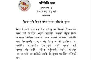 सभा भवन ध्वस्त भएपछि प्रतिनिधिसभा बैठक अनिश्चितकालका लागि स्थगित