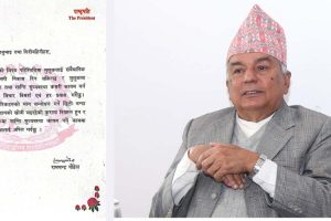 संवैधानिक दायरामा देशलाई निकास दिन प्रयास गर्दैछु : राष्ट्रपति