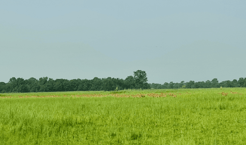 प्रचारप्रसार नहुँदा ओझेलमा शुक्लाफाँटा
