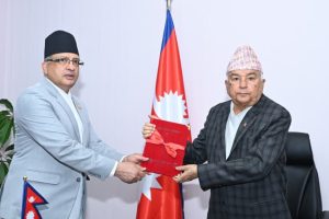 राष्ट्रपतिसमक्ष राष्ट्रिय समावेशी आयोगको वार्षिक प्रतिवेदन पेस