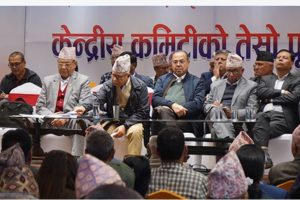 एकीकृत समाजवादीको केन्द्रीय समिति बैठक सुरु