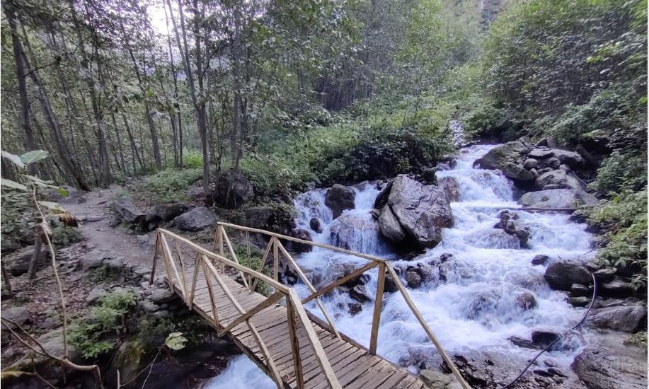 लाङटाङ क्षेत्रमा अलपत्र १२ पदयात्रीको उद्दार