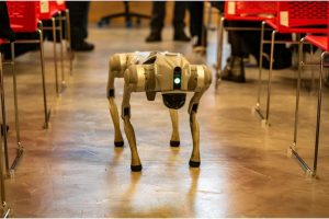 युद्ध लड्ने ‘रोबोट कुकुर’ बनाउँदै चीन