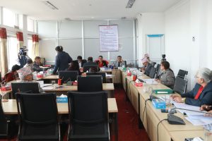 राष्ट्रिय सभामा विचाराधीन विधेयकमाथि छलफल अघि बढ्ने