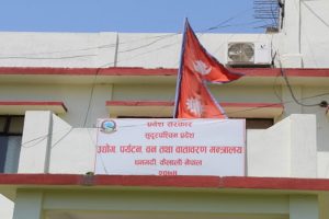 सुदूरपश्चिम प्रदेशको पैँतीस हेक्टर क्षेत्रफलमा जडीबुटीखेती विस्तार