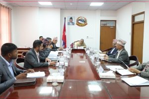 मन्त्रिपरिषद् बैठकका २५ निर्णय सार्वजनिक