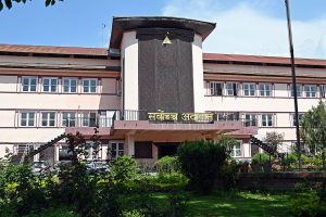 डिम्ब तस्करी प्रकरणमा ‘क्लिनचिट’ दिने निर्णयविरुद्ध सर्वोच्चमा रिट पेस