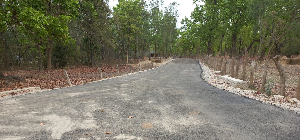 दुर्गमको ‘लालझाडी’ सडक पूर्वाधार विकासले सुगम बन्दै