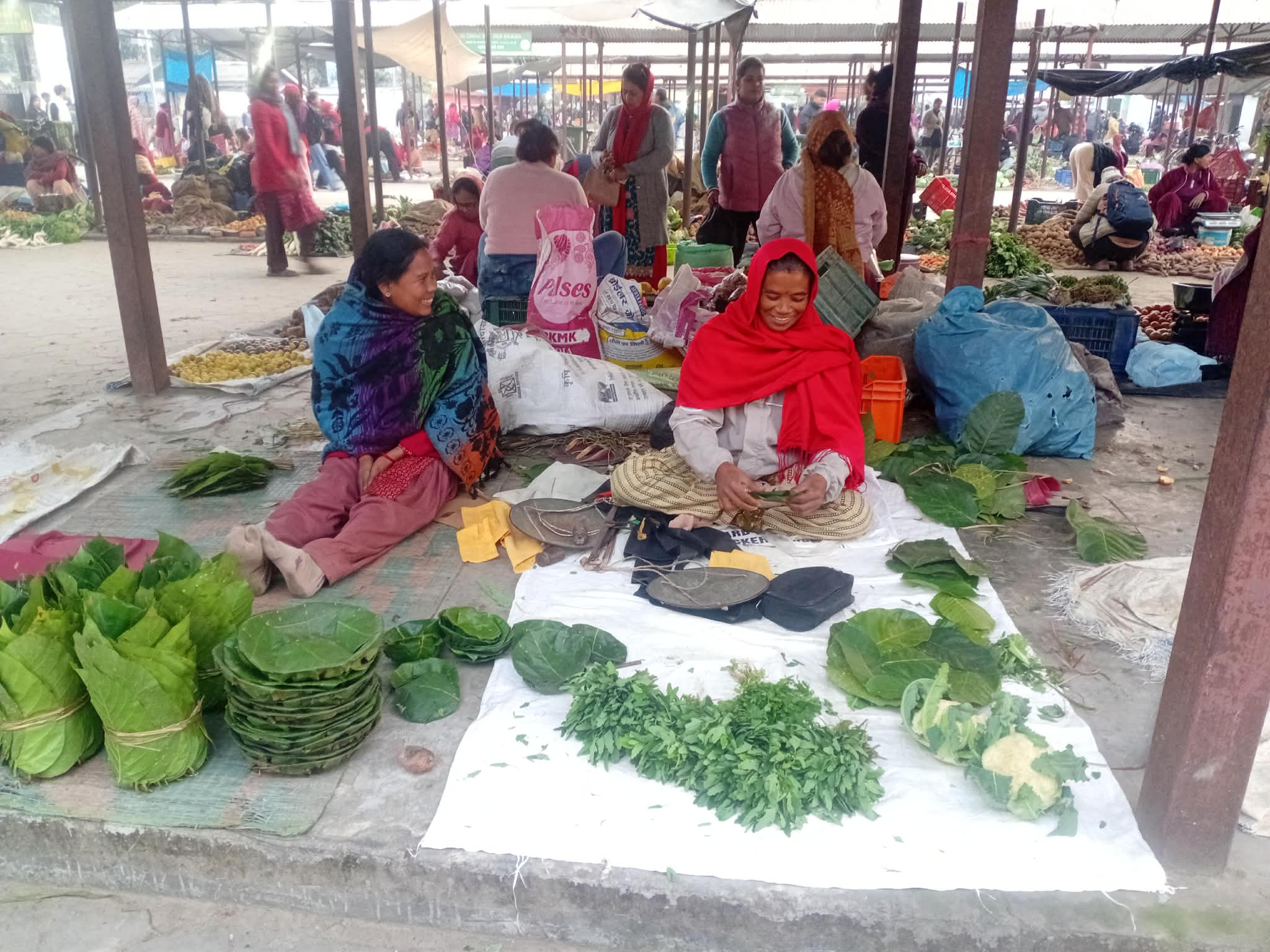 दुना टपरी बेचेर आत्मनिर्भर बन्दै महिलाहरू