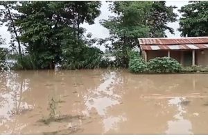 बर्दिया र कैलालीको नदी तटीय क्षेत्रमा सूचकाङ्कमा आधारित बाढी बीमा योजना प्रभावकारी