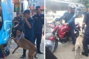 कैलालीका सीमानाकामा सुरक्षा जाँचमा कडाइ