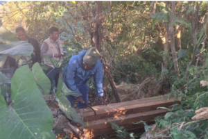 कैलालीमा १२८ क्यूफिट अवैध सालको चिरान काठ बरामद