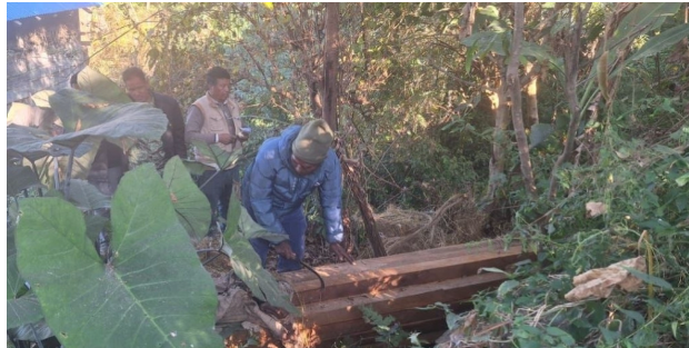 कैलालीमा १२८ क्यूफिट अवैध सालको चिरान काठ बरामद
