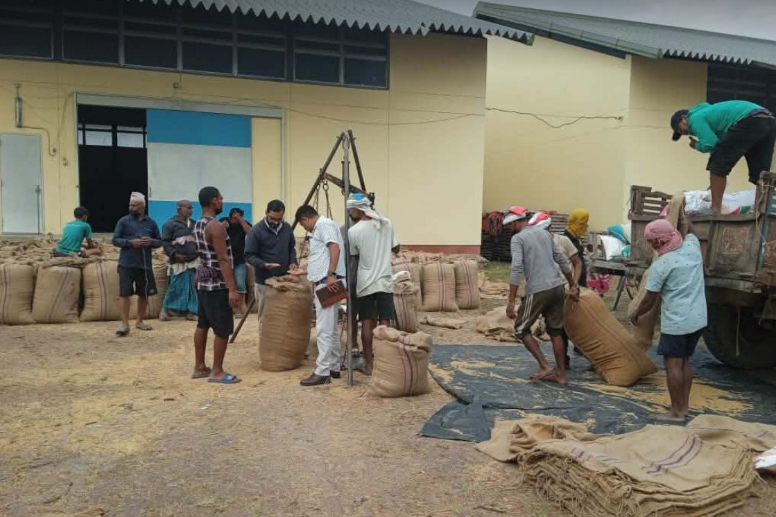 कैलाली र कञ्चनपुरबाट खाद्यले किन्यो झन्डै १६ करोड मूल्य बराबरको धान