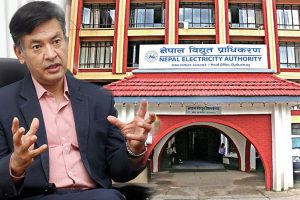 विद्युत प्राधिकरणको कार्यकारी निर्देशकमा शाक्यको पुनर्बहाली