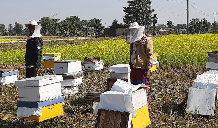 महबाटै करोडको कारोबार गर्छन् विनोद हमाल