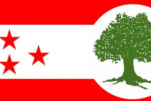 नियमित महाधिवेशनको कार्यतालिका ल्याउने संस्थापनको तयारी