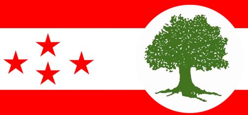 नियमित महाधिवेशनको कार्यतालिका ल्याउने संस्थापनको तयारी