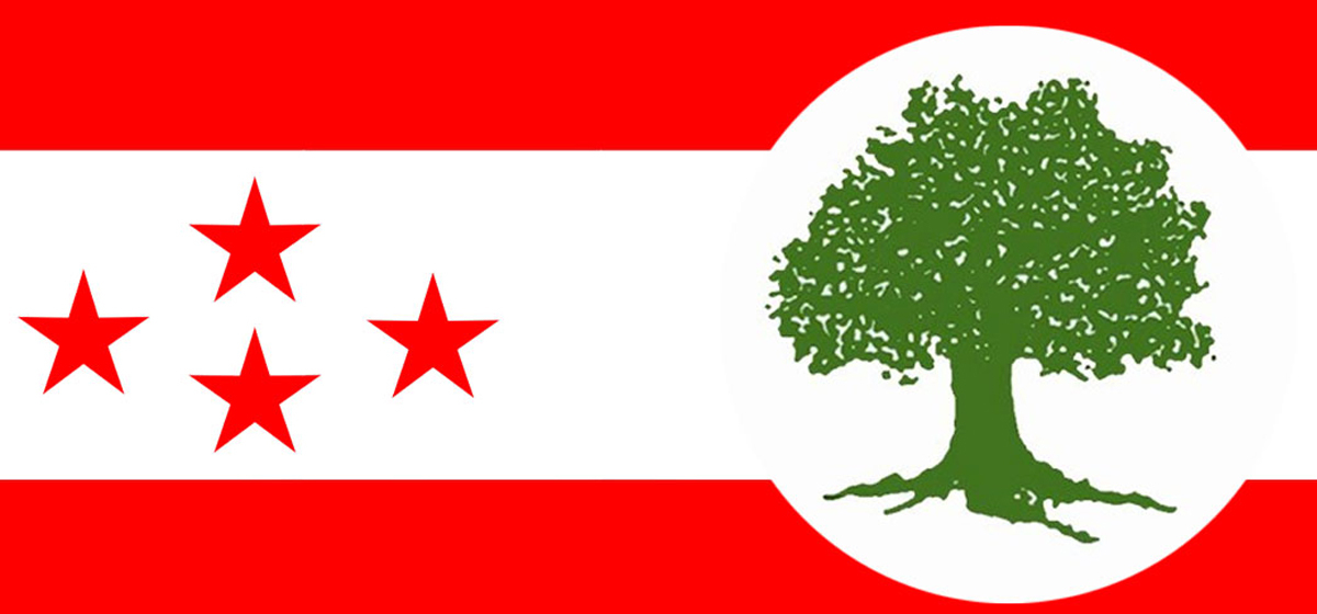 नियमित महाधिवेशनको कार्यतालिका ल्याउने संस्थापनको तयारी