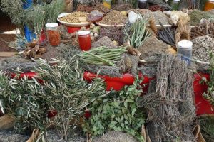 जडीबुटीमा किसानलाई आकर्षित गर्दै प्रशोधन केन्द्र