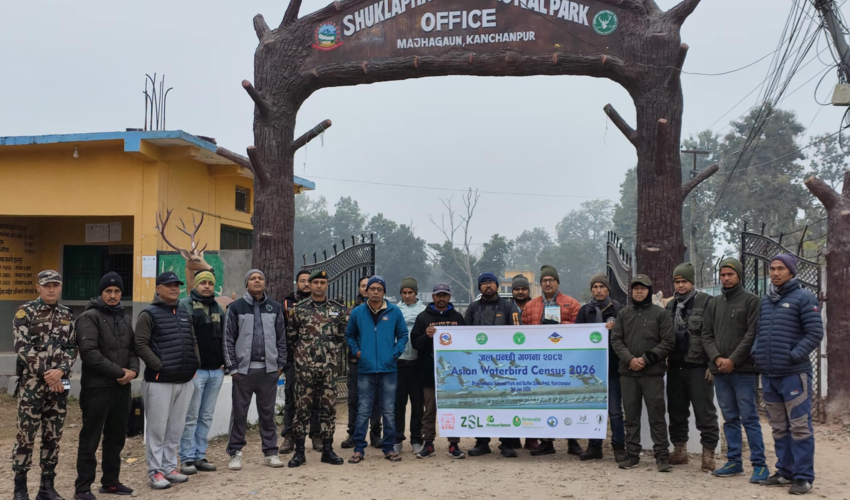 कञ्चनपुरमा जलपन्छी गणना सम्पन्न, नतिजा केही दिनमै आउने
