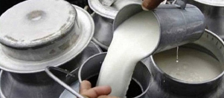 सुदूरपश्चिममा दूधको उपलब्धता बढ्दै